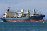 ID 3490 TASMAN CHIEF (1992/18391grt/IMO 9007374, ex-CHENAN, ANDES CHALLENGER. Renamed PACIFIC DISCOVERER then CHENAN) inbound at Auckland, NZ.
